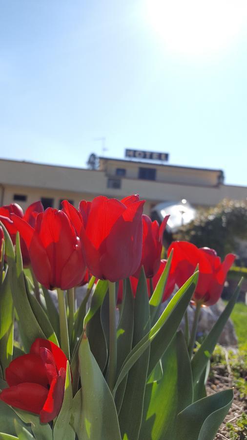 Hotel Vittoria Беневенто Екстер'єр фото
